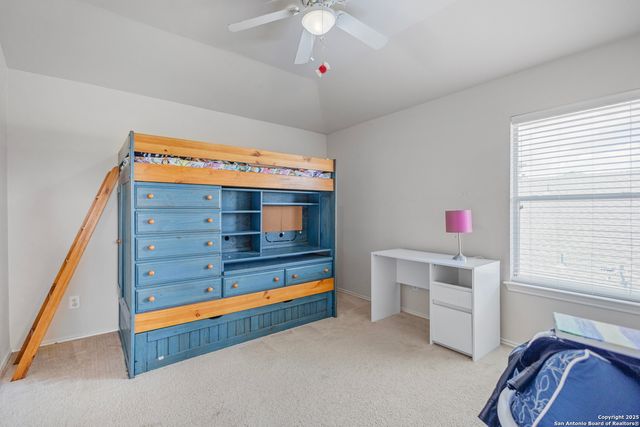 1258 Sandhill Crane, New Braunfels, TX 78130