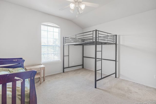 1258 Sandhill Crane, New Braunfels, TX 78130