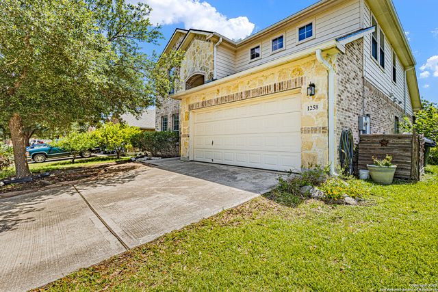 1258 Sandhill Crane, New Braunfels, TX 78130