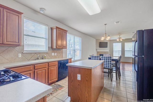 1258 Sandhill Crane, New Braunfels, TX 78130