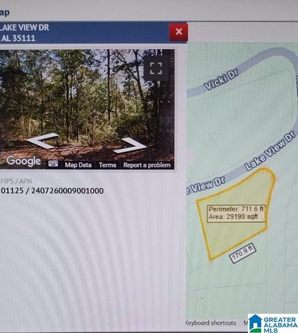 LAKE VIEW DRIVE, Lakeview, AL 35111