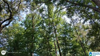 LAKE VIEW DRIVE, Lakeview, AL 35111