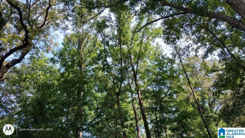 LAKE VIEW DRIVE, Lakeview, AL 35111