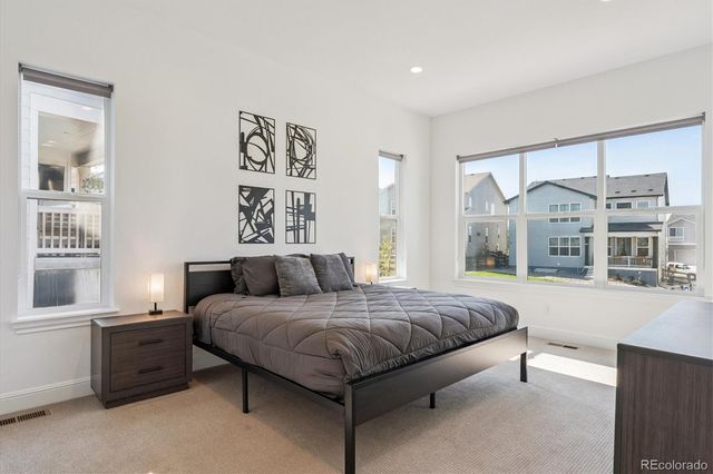 264 Kitselman Drive, Castle Rock, CO 80104