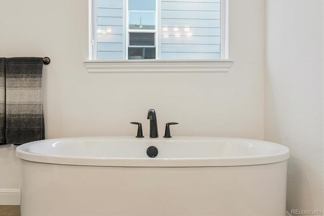 264 Kitselman Drive, Castle Rock, CO 80104