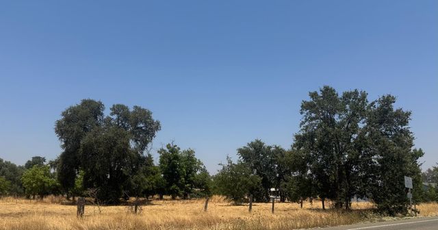 1307 Lower Honcut Rd, Oroville, CA 95966