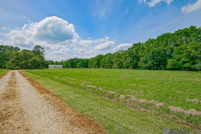 14505 Blackwater Rd, Central, LA 70714