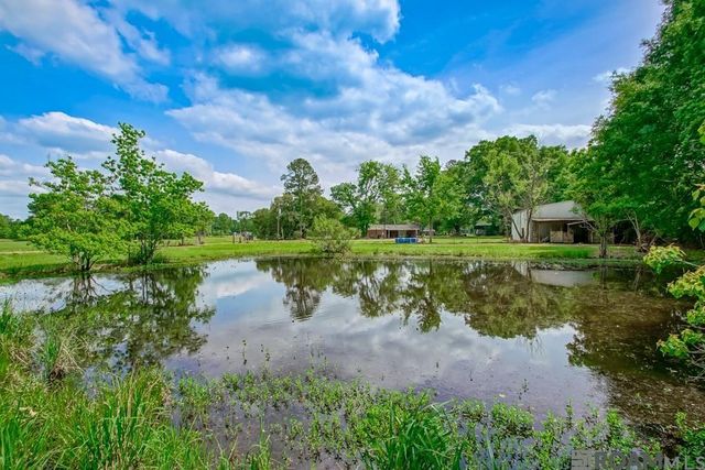 14505 Blackwater Rd, Central, LA 70714