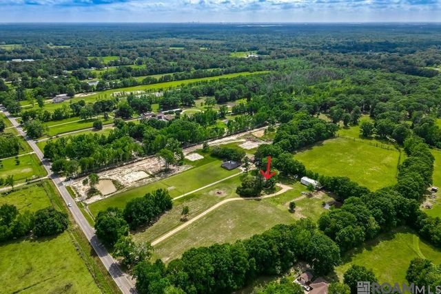 14505 Blackwater Rd, Central, LA 70714