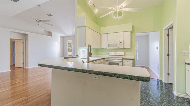 10504 MOSHIE LANE, San Antonio, FL 33576