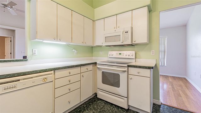 10504 MOSHIE LANE, San Antonio, FL 33576