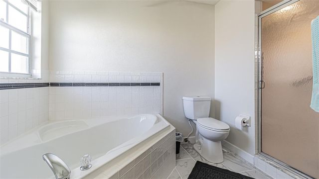 10504 MOSHIE LANE, San Antonio, FL 33576