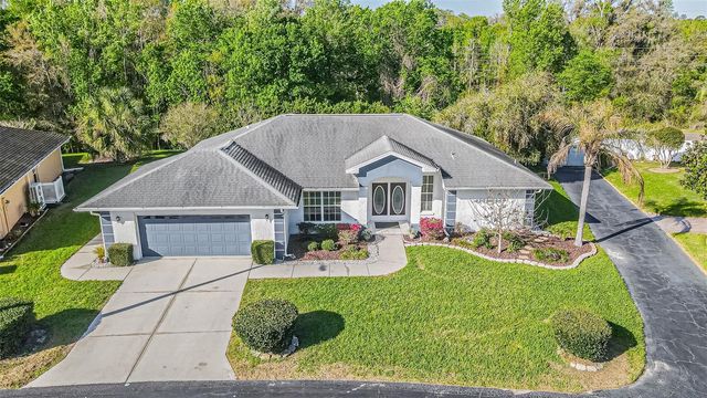 10504 MOSHIE LANE, San Antonio, FL 33576