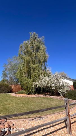 155 Veronica Avenue, Spanish Springs, NV 89436