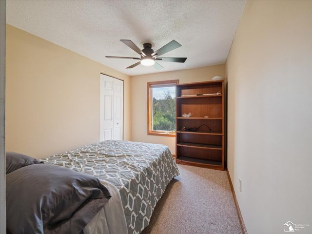 7302 N Lakeview Drive, Cambria Twp, MI 49242