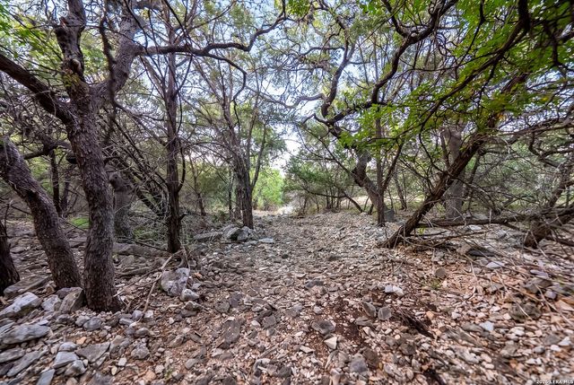 719 Walder Trail, San Antonio, TX 78260