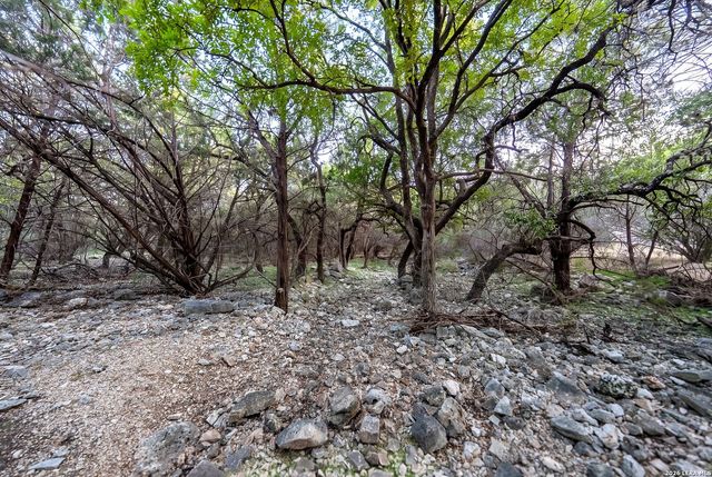 719 Walder Trail, San Antonio, TX 78260