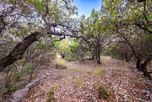 719 Walder Trail, San Antonio, TX 78260