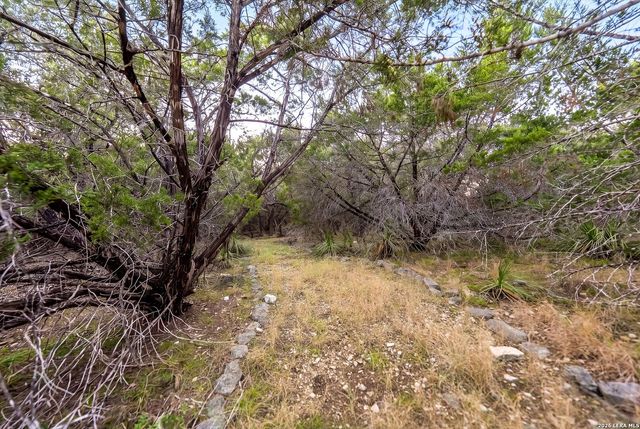 719 Walder Trail, San Antonio, TX 78260