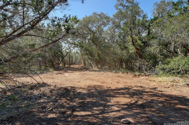 TRACT 3 Pierson Road, Blanco, TX 78606