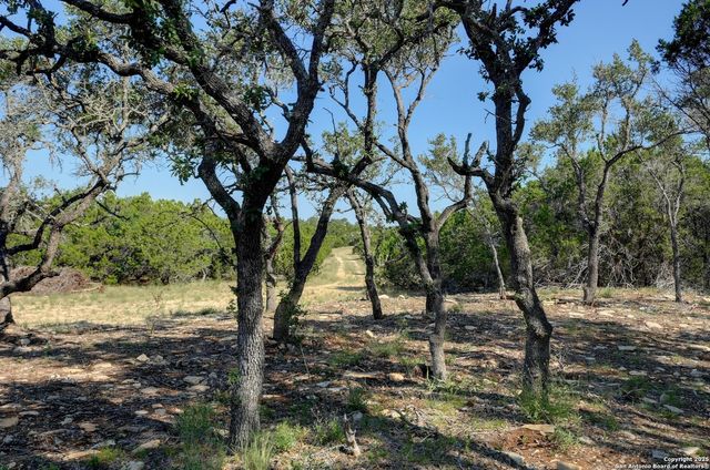 TRACT 3 Pierson Road, Blanco, TX 78606