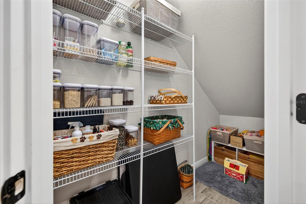 Image 17 of property listing at 6227 SCARLET DARTER WAY, Tampa, FL 33625