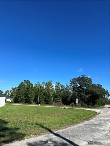 14 FISHER COURT, Ocklawaha, FL 32179