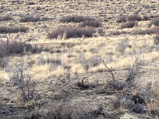 45 Kent Canyon Rd Unit 45, Wanship, UT 84017