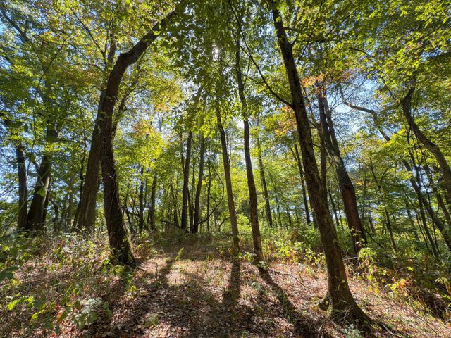 3044 Jasmine Road NW, Carrollton, OH 44615