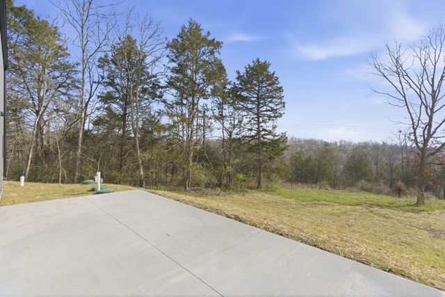 1670 Wooley Creek Road, Cape Fair, MO 65624