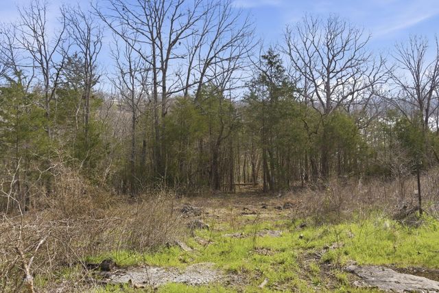 1670 Wooley Creek Road, Cape Fair, MO 65624