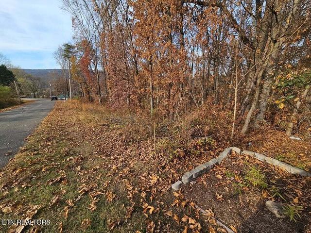 Lots 29/30 Smyrna Heights, Evensville, TN 37332