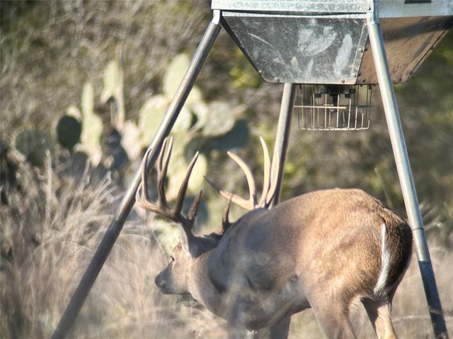 00 Quail Run DR, San Marcos, TX 78666