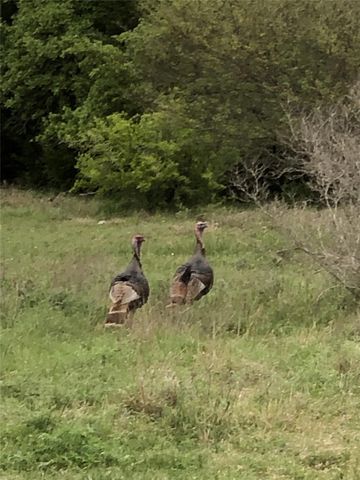 00 Quail Run DR, San Marcos, TX 78666