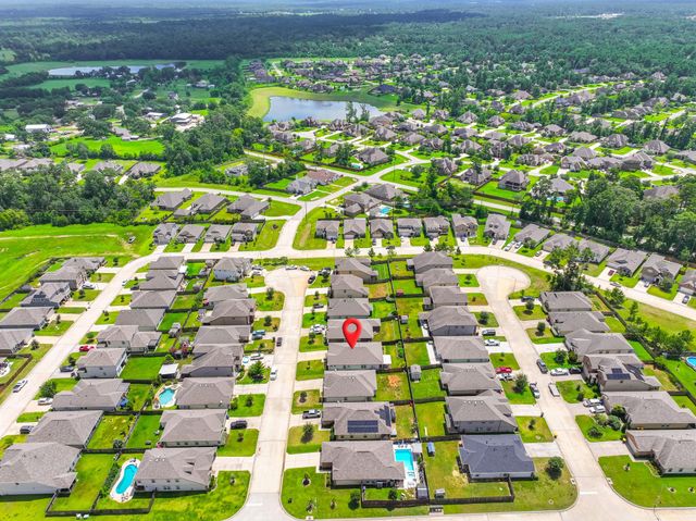 12419 Southern Trail Court, Magnolia, TX 77354