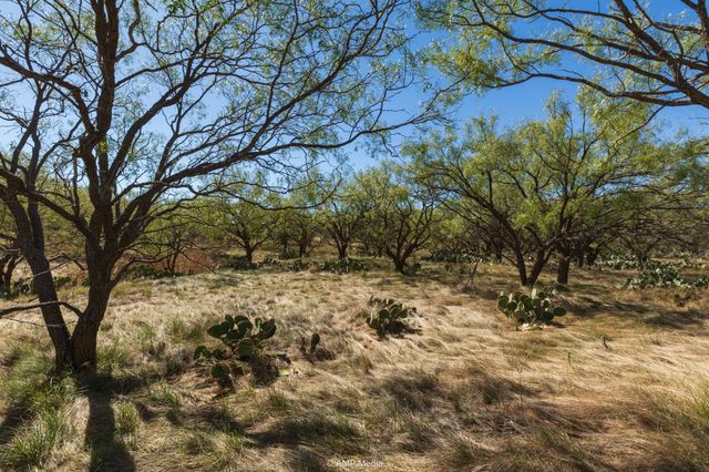 TBD US Hwy 83 N, Ovalo, TX 79541
