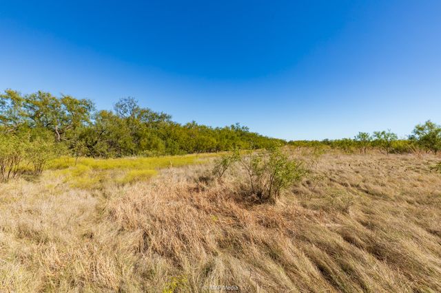 TBD US Hwy 83 N, Ovalo, TX 79541