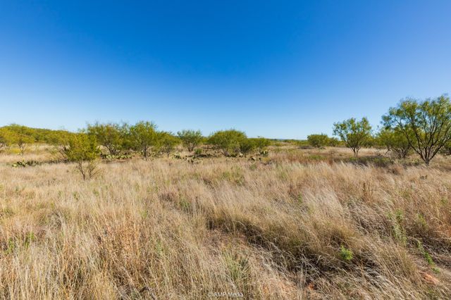 TBD US Hwy 83 N, Ovalo, TX 79541