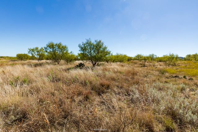 TBD US Hwy 83 N, Ovalo, TX 79541