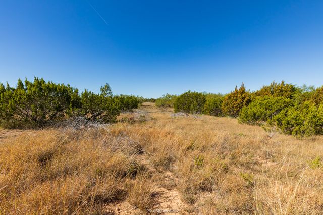 TBD US Hwy 83 N, Ovalo, TX 79541