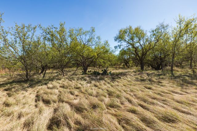 TBD US Hwy 83 N, Ovalo, TX 79541