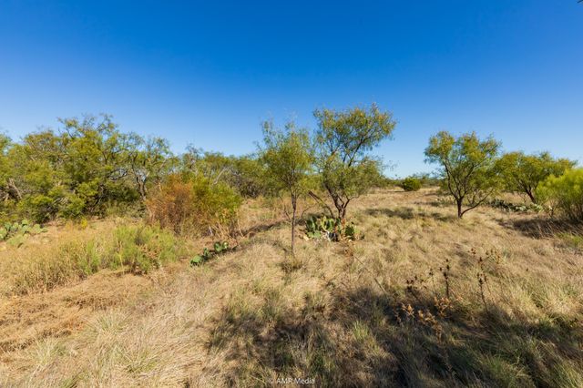 TBD US Hwy 83 N, Ovalo, TX 79541