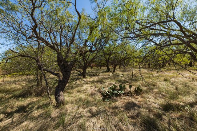 TBD US Hwy 83 N, Ovalo, TX 79541