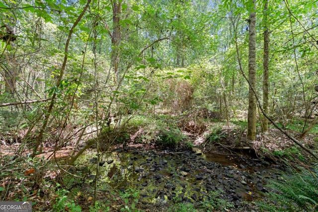 125 Kevins Drive, Hampton, GA 30228