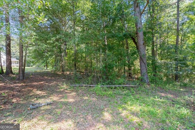 125 Kevins Drive, Hampton, GA 30228
