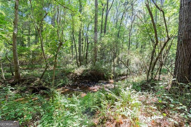 125 Kevins Drive, Hampton, GA 30228