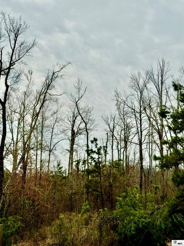 283 NEW MINERAL SPRINGS ROAD, Calhoun, LA 71225