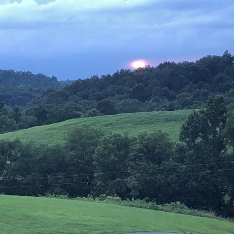 557 Ward Hollow Road, Shelbyville, TN 37160