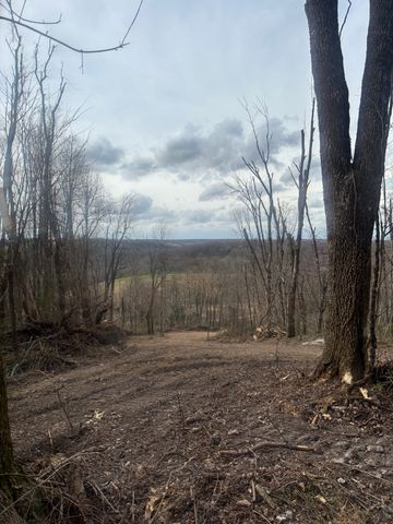 557 Ward Hollow Road, Shelbyville, TN 37160