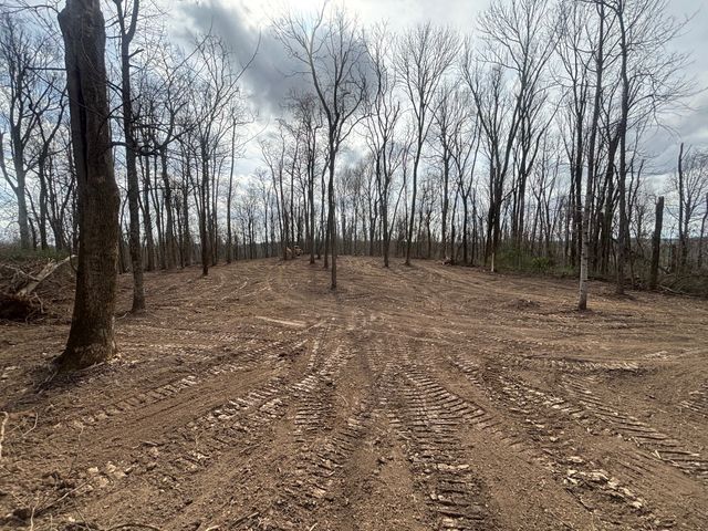 557 Ward Hollow Road, Shelbyville, TN 37160